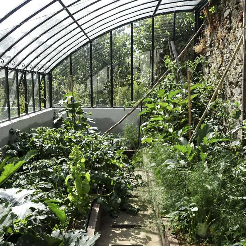 Glashaus CHAMBORD Breite 2,80 m mit Mauersockel