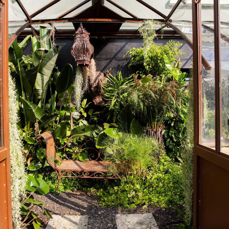 Glashaus MONTESQUIEU Breite 2,80 m mit Mauersockel