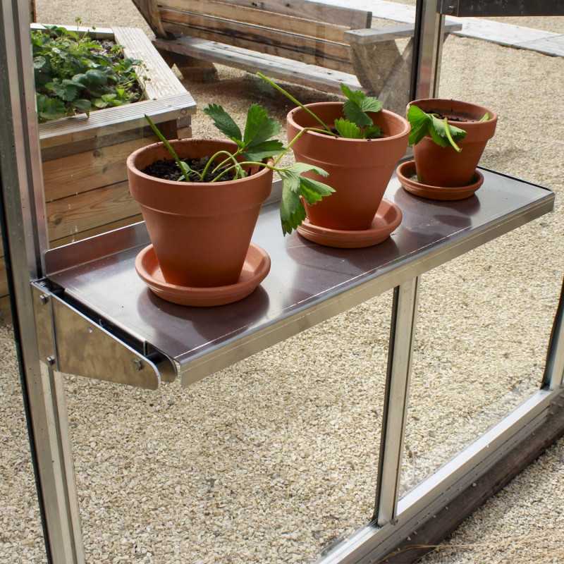 Regal Azura & Vintage