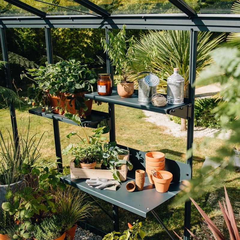 Regal Azura & Vintage