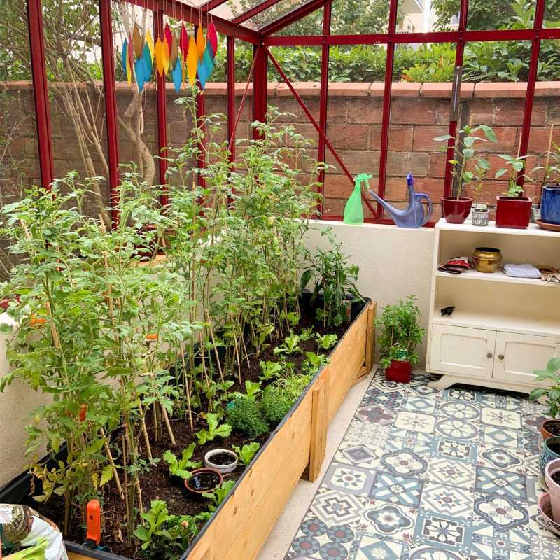 Gewächshaus LUXIA Retro mit Mauersockel Breite 2,36 m