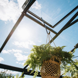 Zusätzliches Dachfenster für SUPRA-Gewächshäuser