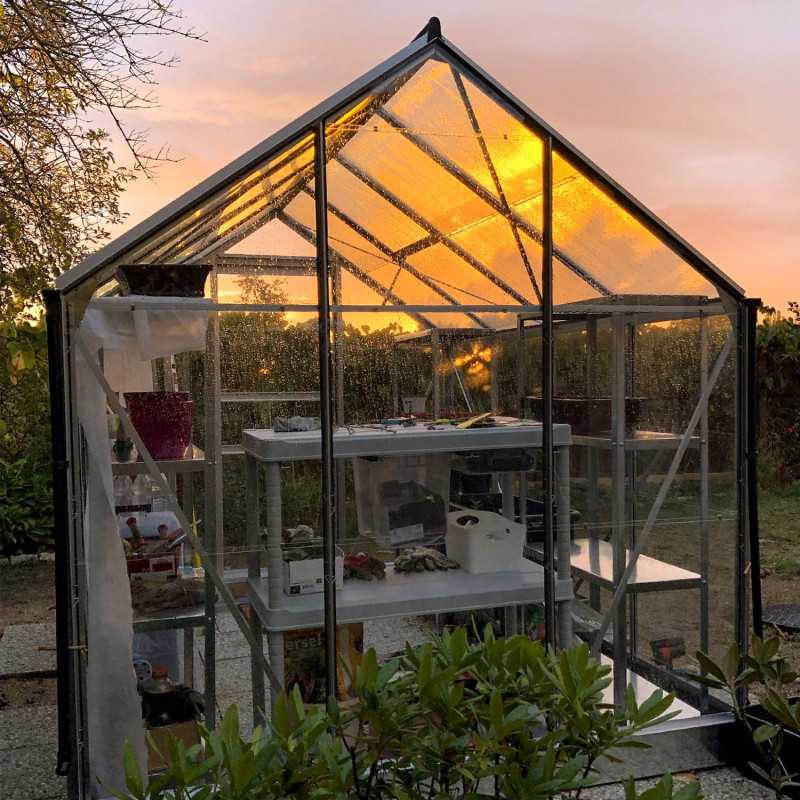 Gewächshaus ALLIUM 4,90 m²