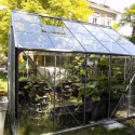 Gewächshaus CARVI 8,10 m²