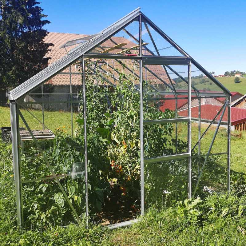 Gewächshaus CARVI 8,10 m²
