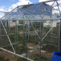 Gewächshaus LAURUS 8,10 m²