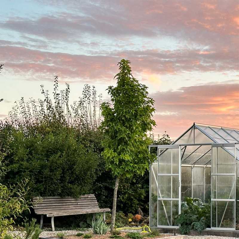 Gewächshaus LAURUS 12,90 m²