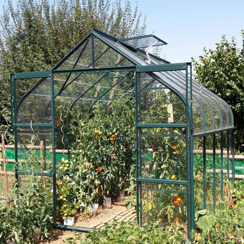 Gewächshaus ALOE 8,10 m²