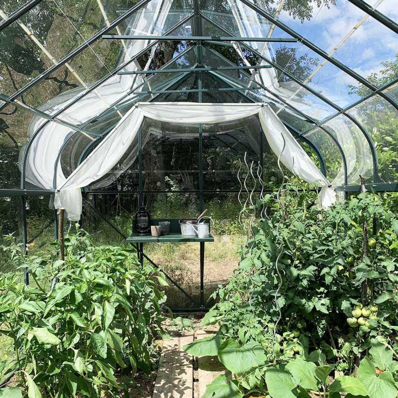 Gewächshaus ALOE 9,70 m²