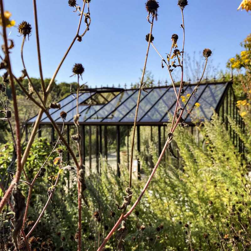 Gewächshaus LUXIA Retro Breite 3,09 m