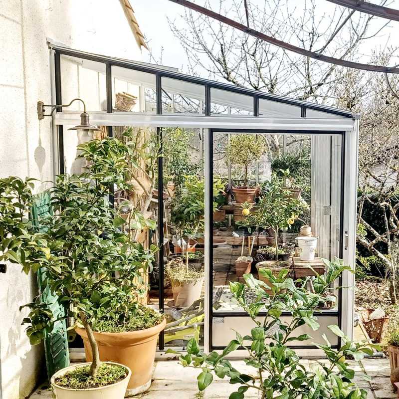 Anlehngewächshaus LUXIA Retro Breite 2,32 m