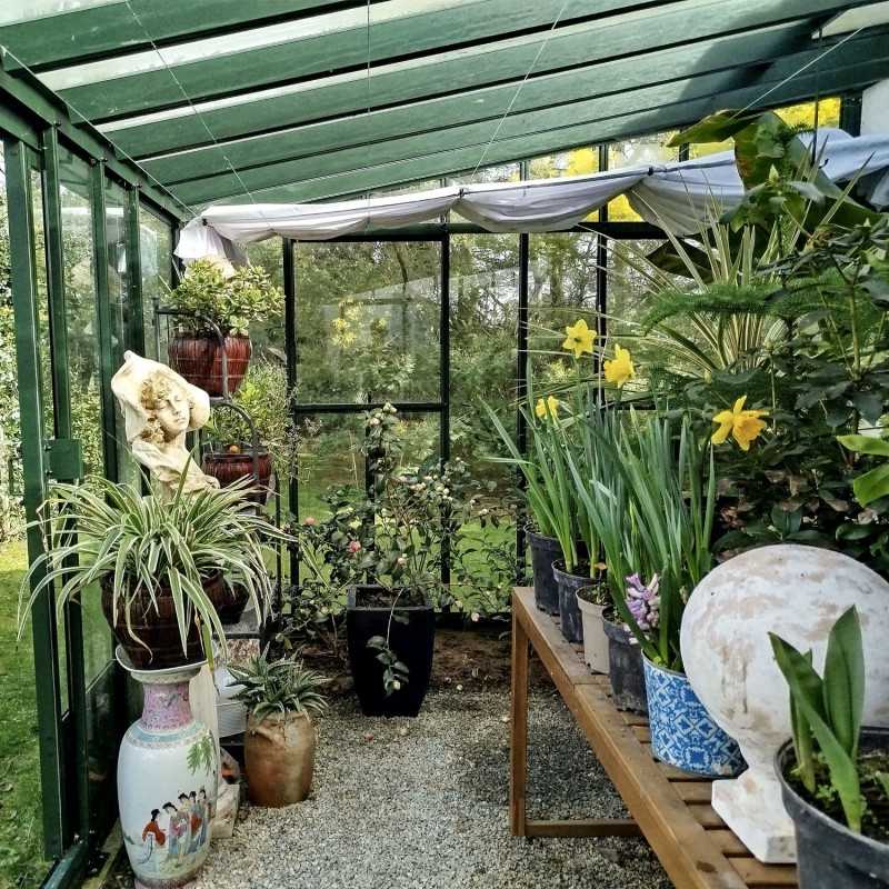 Anlehngewächshaus LUXIA Retro Breite 3,06 m