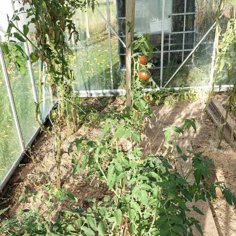 Gewächshaus LAURUS 14,40 m²