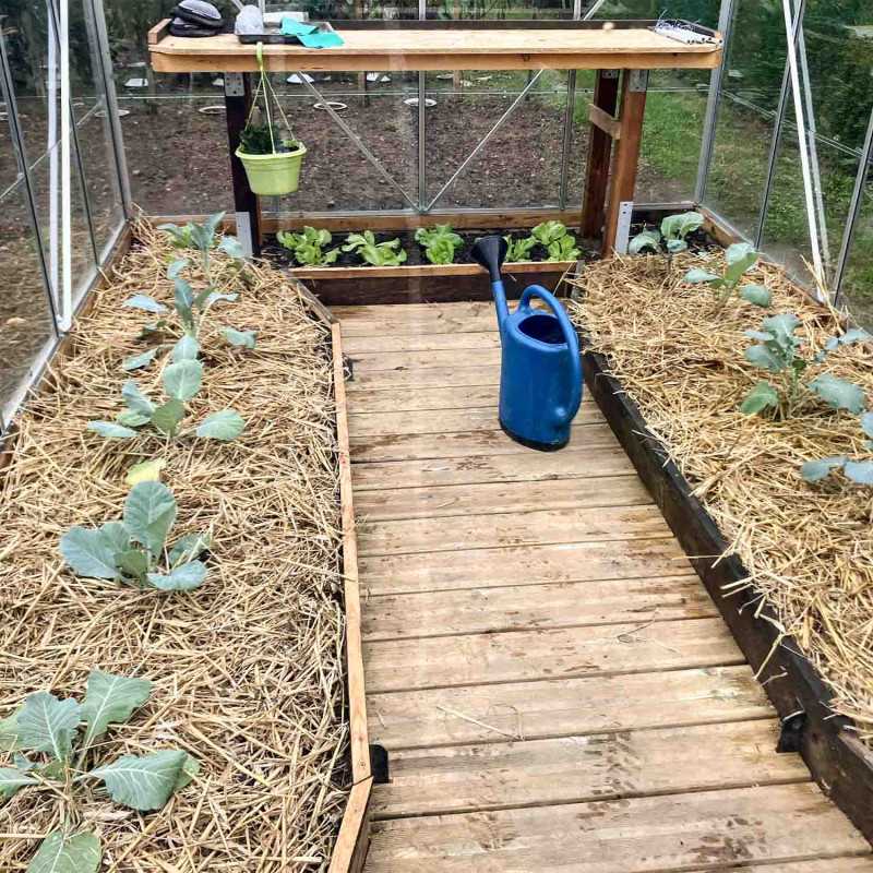 Gewächshaus LAURUS 9,70 m²