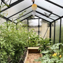 Gewächshaus ESSENTIA Breite 2,36 m