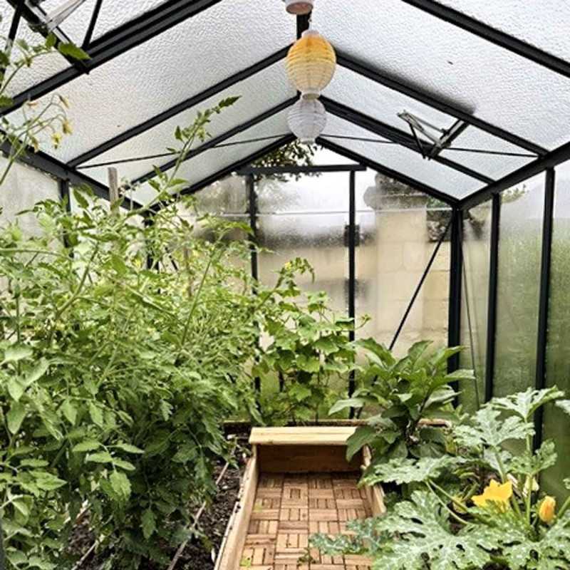 Gewächshaus ESSENTIA Breite 2,36 m