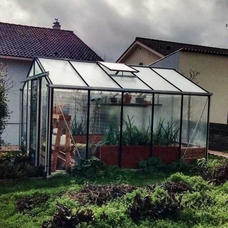 Gewächshaus ESSENTIA Breite 3,09 m