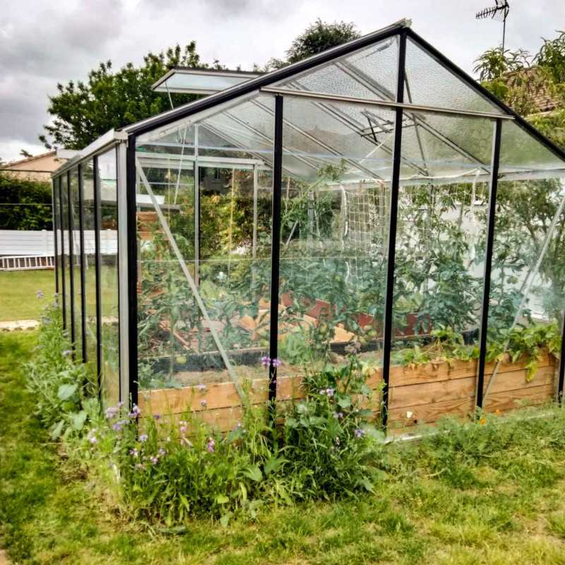 Gewächshaus ESSENTIA Breite 3,09 m