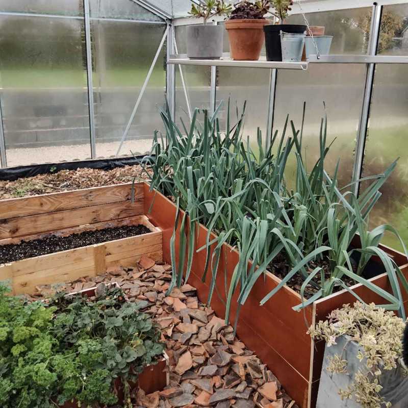 Gewächshaus ESSENTIA Breite 3,09 m