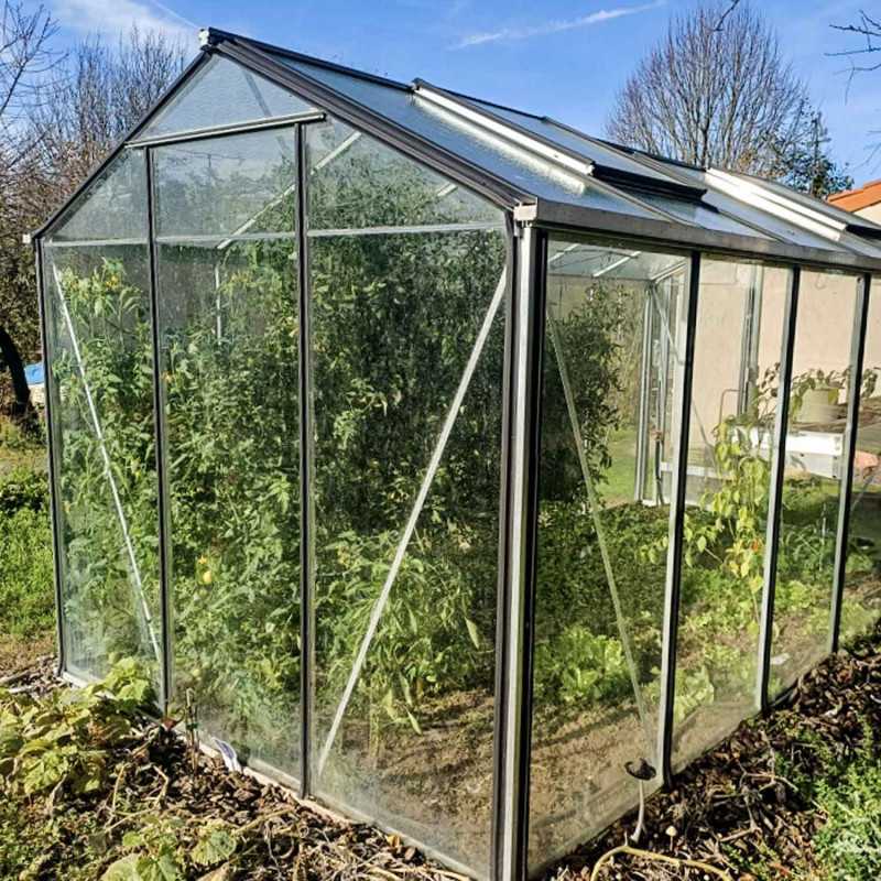 Gewächshaus ESSENTIA Breite 2,36 m