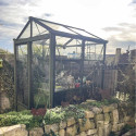 Gewächshaus LUXIA Breite 1,60 m