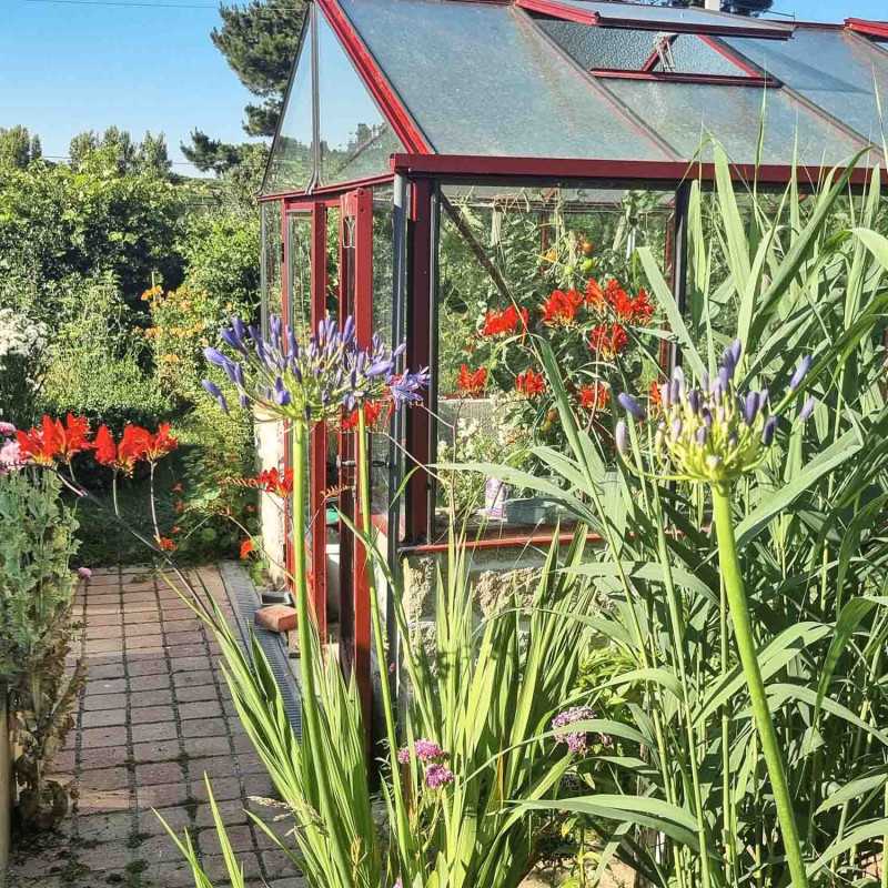 Gewächshaus LUXIA mit Mauersockel Breite 3,09 m