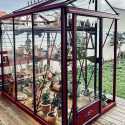 Gewächshaus LUXIA Breite 1,60 m