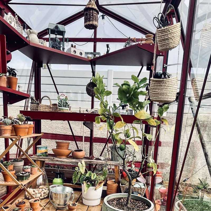 Gewächshaus LUXIA Breite 1,60 m