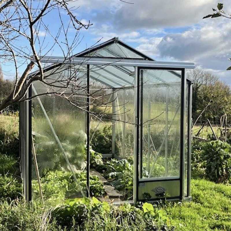 Gewächshaus ESSENTIA Breite 2,36 m