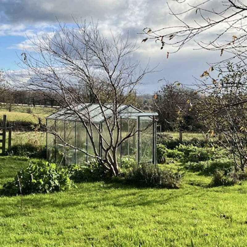 Gewächshaus ESSENTIA Breite 2,36 m