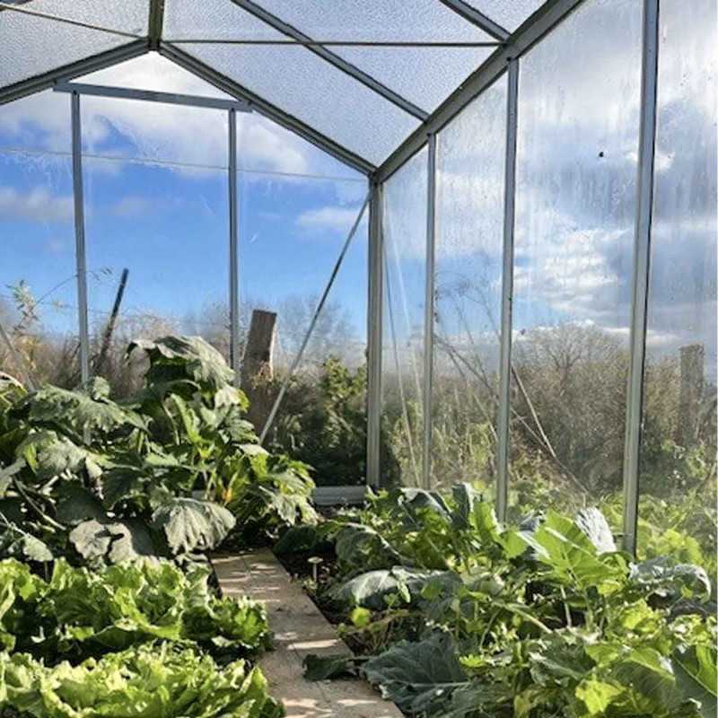 Gewächshaus ESSENTIA Breite 2,36 m