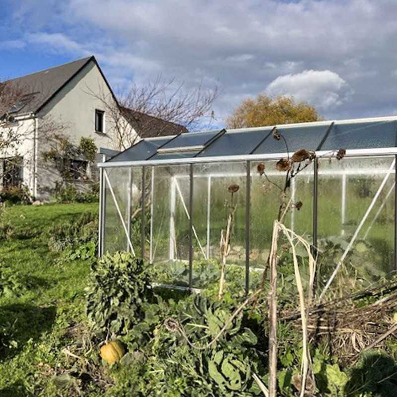 Gewächshaus ESSENTIA Breite 2,36 m