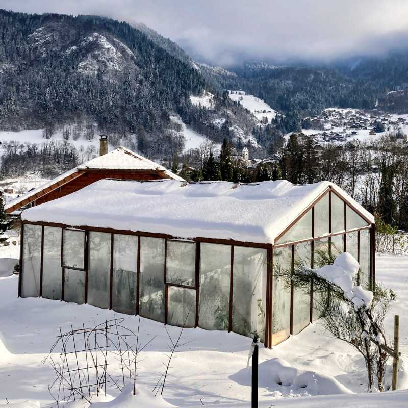 Gewächshaus SUPRA Breite 4,60 m