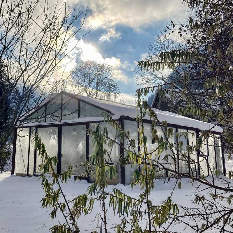 Gewächshaus SUPRA Breite 4,60 m