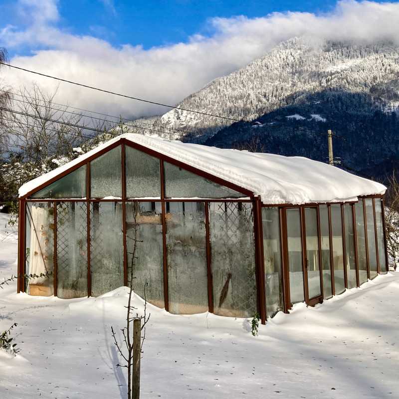 Gewächshaus SUPRA Breite 4,60 m