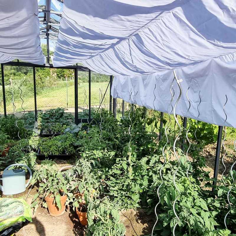 Gewächshaus SUPRA Breite 3,80 m