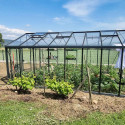 Gewächshaus SUPRA Breite 3,80 m