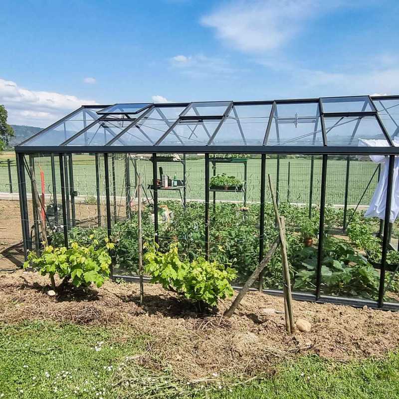 Gewächshaus SUPRA Breite 3,80 m