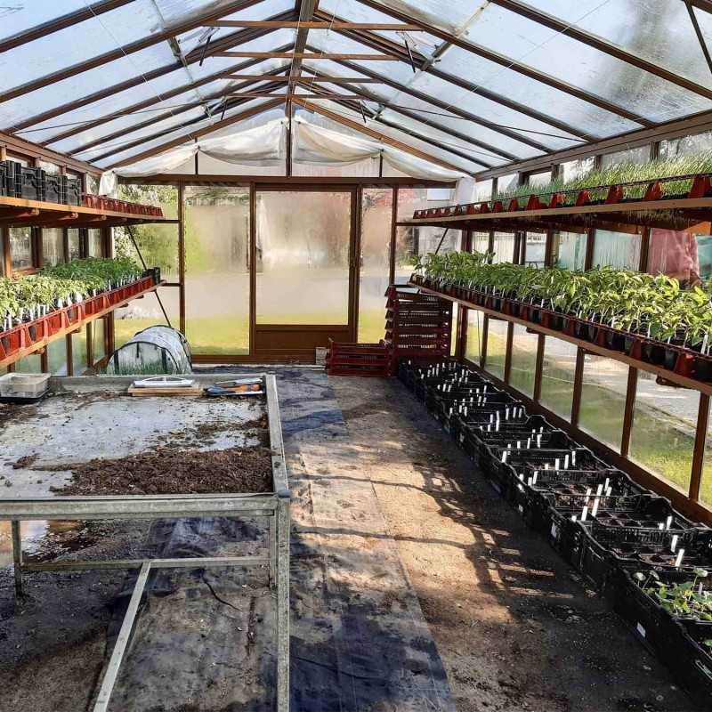 Gewächshaus SUPRA Breite 3,80 m