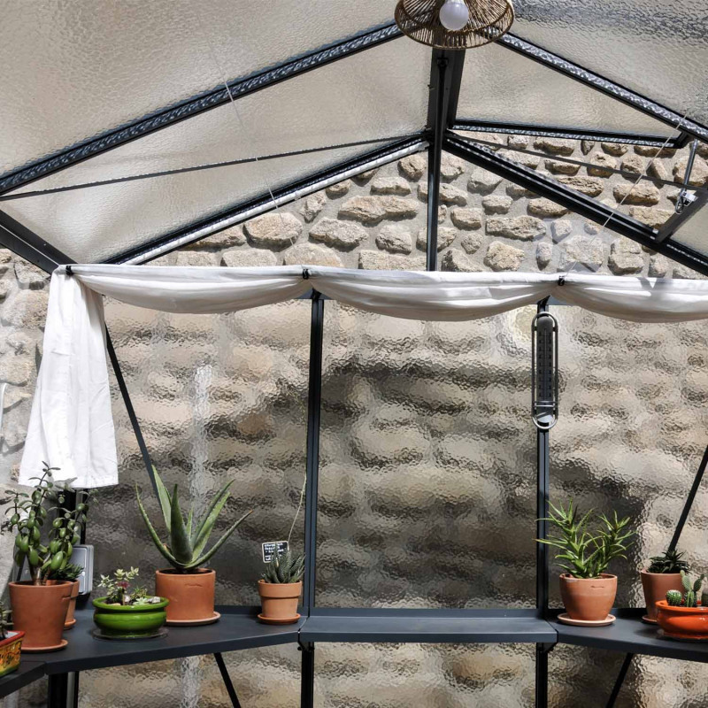 Gewächshaus LUXIA Breite 2,36 m