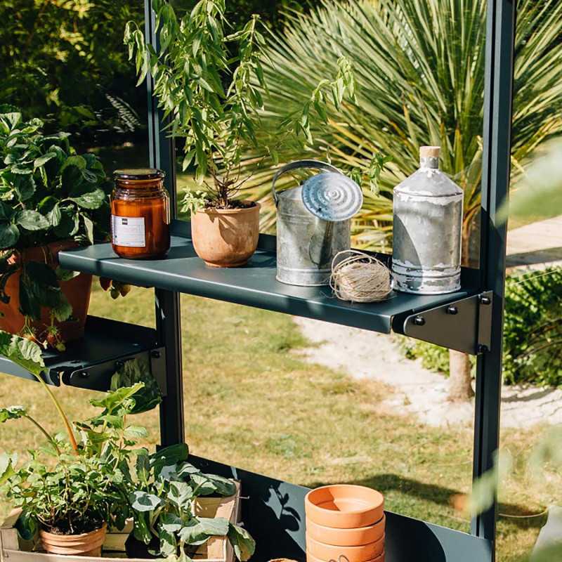 Regal Azura & Vintage