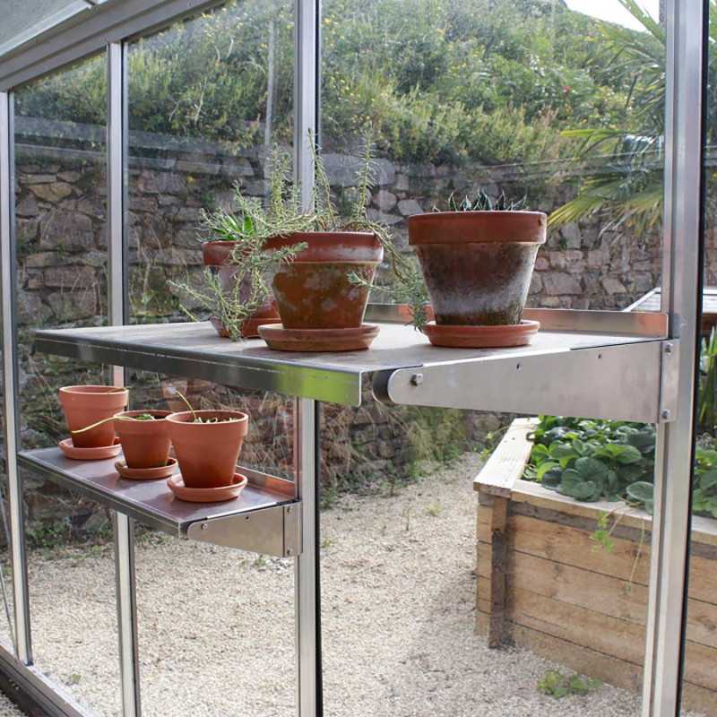 Regal Azura & Vintage