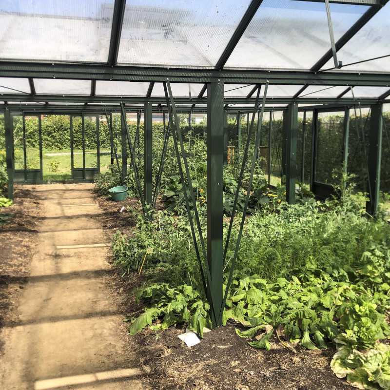 Gewächshaus SUPRA 3 Kapellen