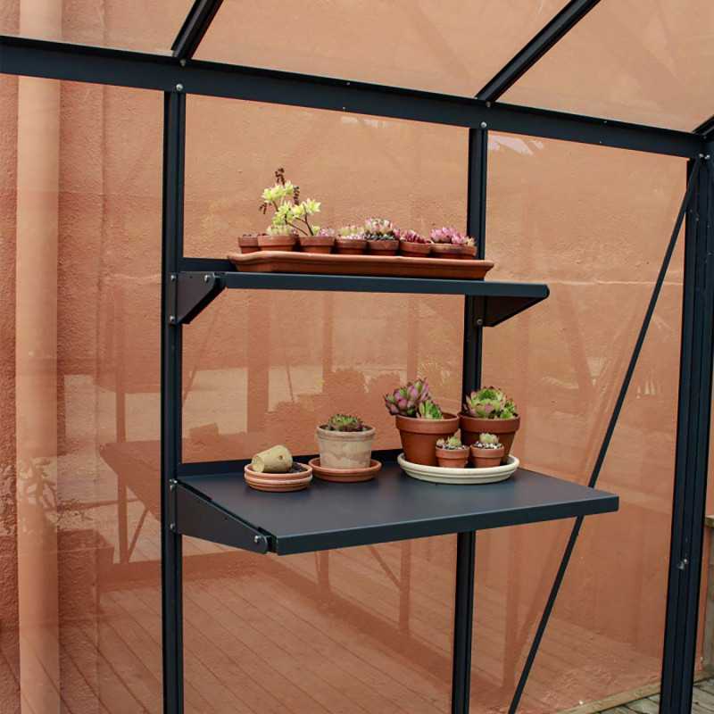 Regal Azura & Vintage