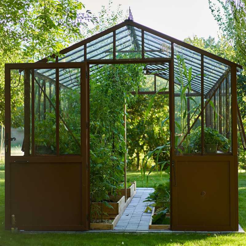 Glashaus CLASSIQUE Breite 2,75 m mit Aluminiumsockel