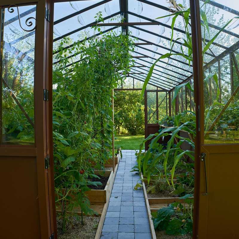 Glashaus CLASSIQUE Breite 2,75 m mit Aluminiumsockel