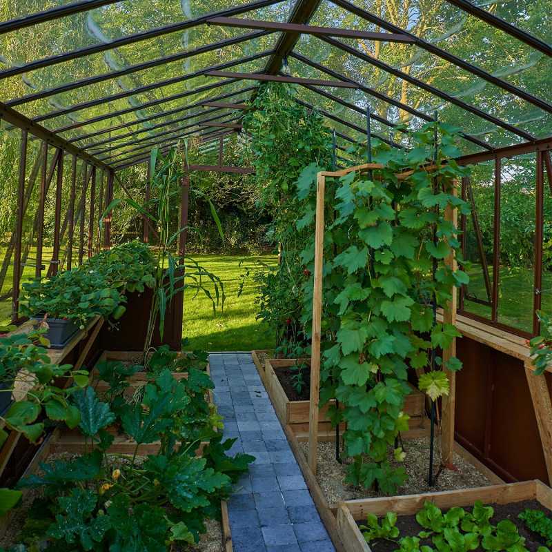 Glashaus CLASSIQUE Breite 2,75 m mit Aluminiumsockel